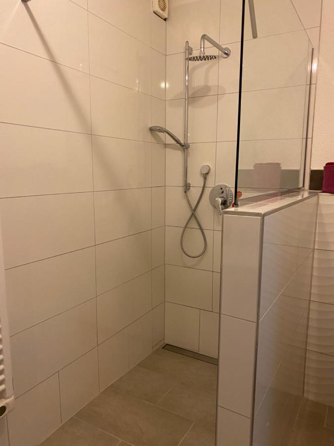 Fewo Dana Apartment Neckarsteinach Exterior foto