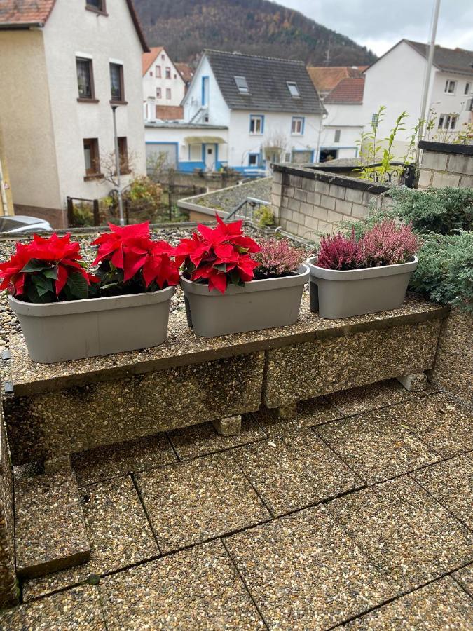 Fewo Dana Apartment Neckarsteinach Exterior foto